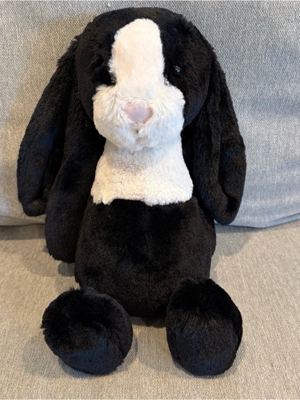 BIG Bashful Dutch Bunny Jellycat - Retired & VHTF no paper tag PERFECT CONDITION